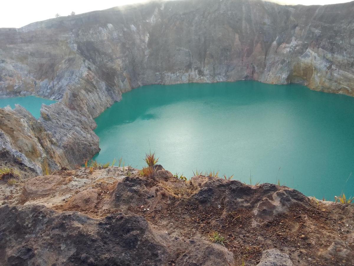 Shila Guest House Kelimutu Exteriör bild